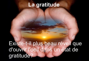 Gratitude